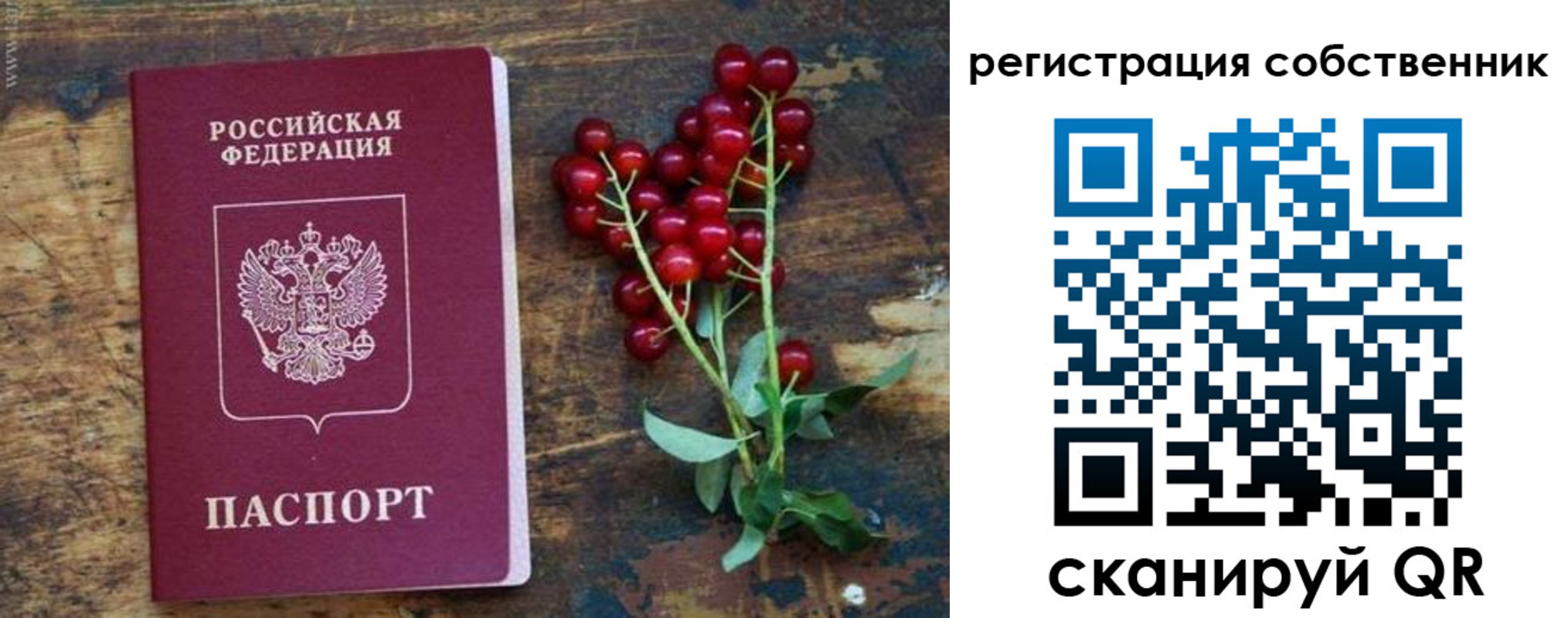 регистрация для дет. сада в Бакале